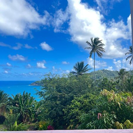 Hotel Happy Nest Dominica Marigot Exteriér fotografie