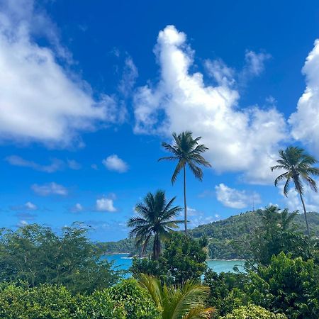 Hotel Happy Nest Dominica Marigot Exteriér fotografie