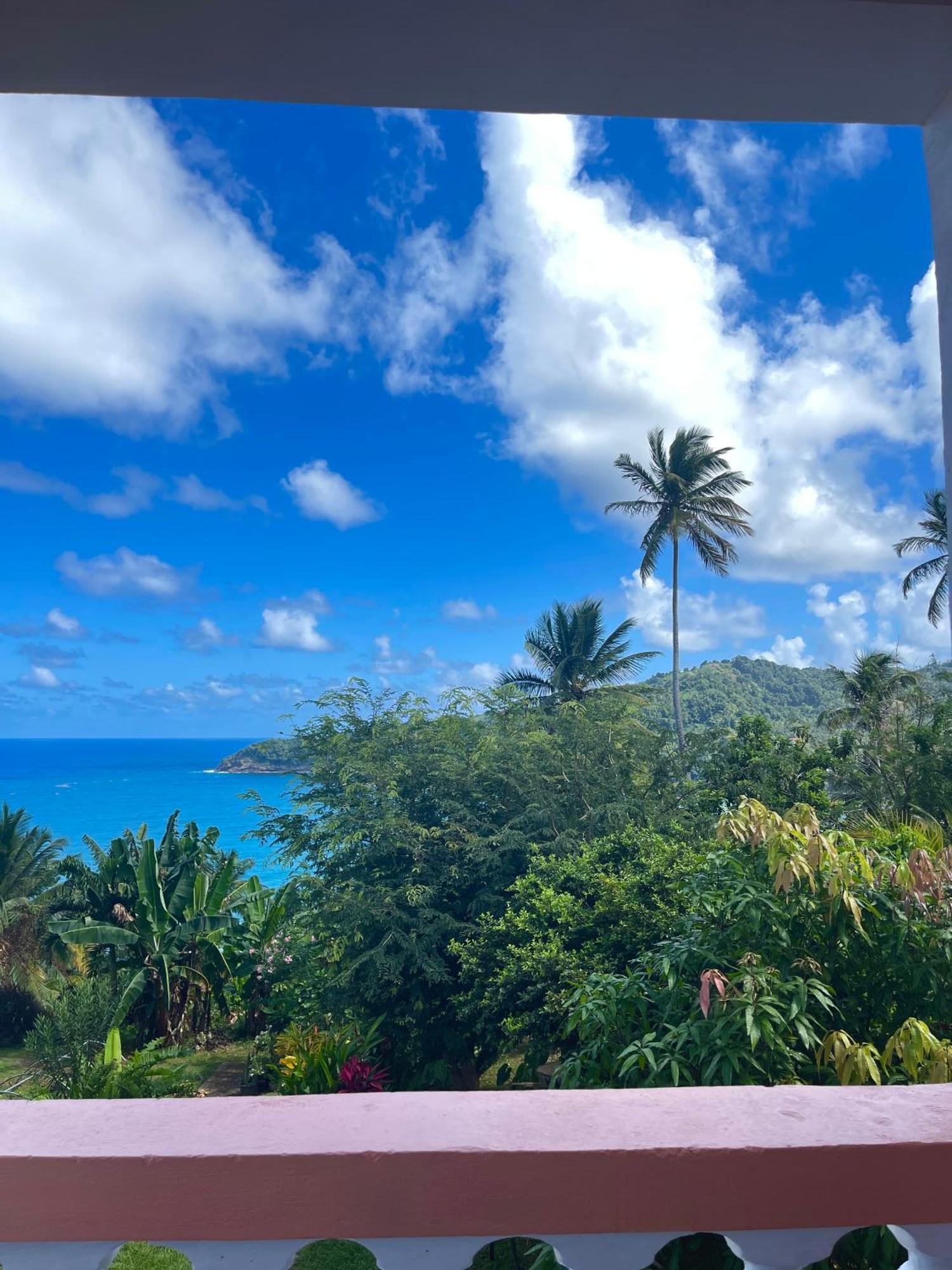 Hotel Happy Nest Dominica Marigot Exteriér fotografie