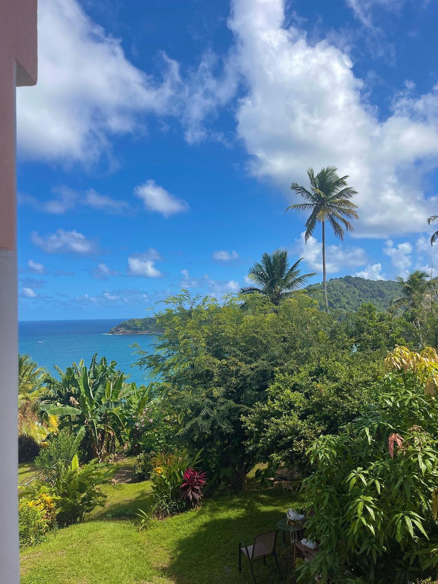 Hotel Happy Nest Dominica Marigot Exteriér fotografie